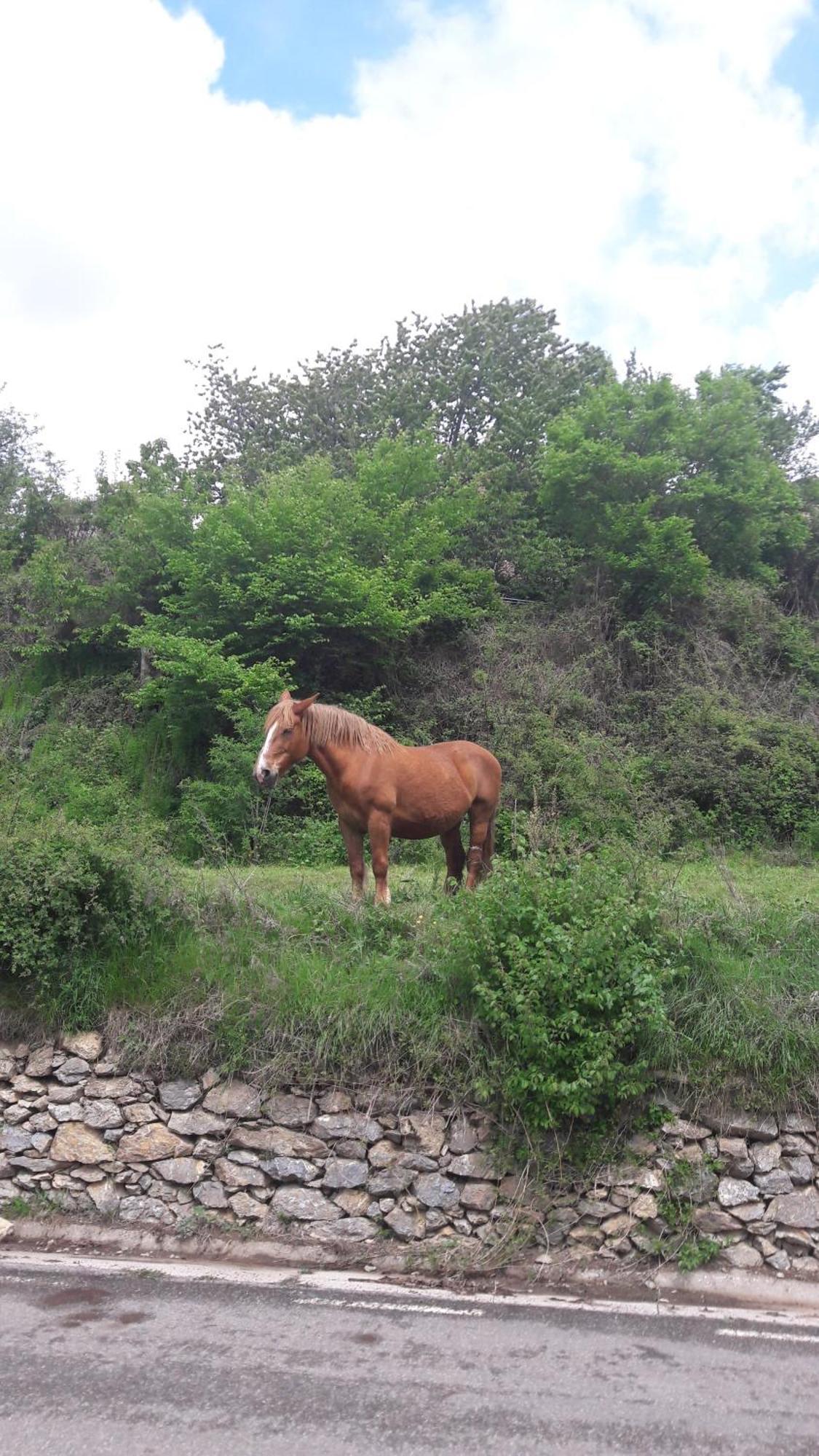 Casa Rural Baro Tornafort Dış mekan fotoğraf